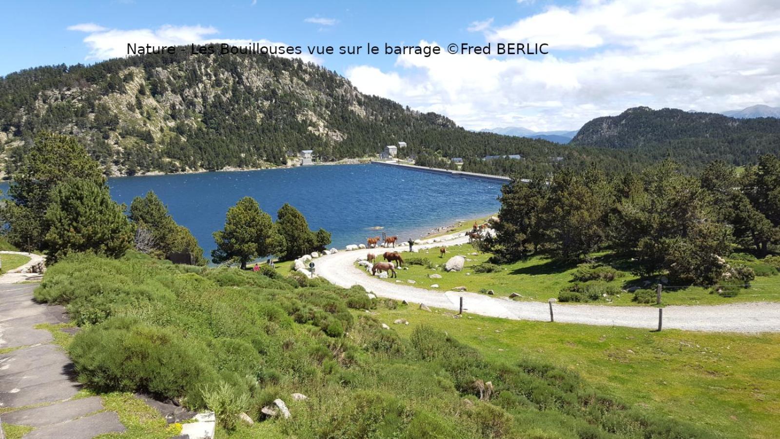 Camping Las Asperas*** Palau-de-Cerdagne Buitenkant foto