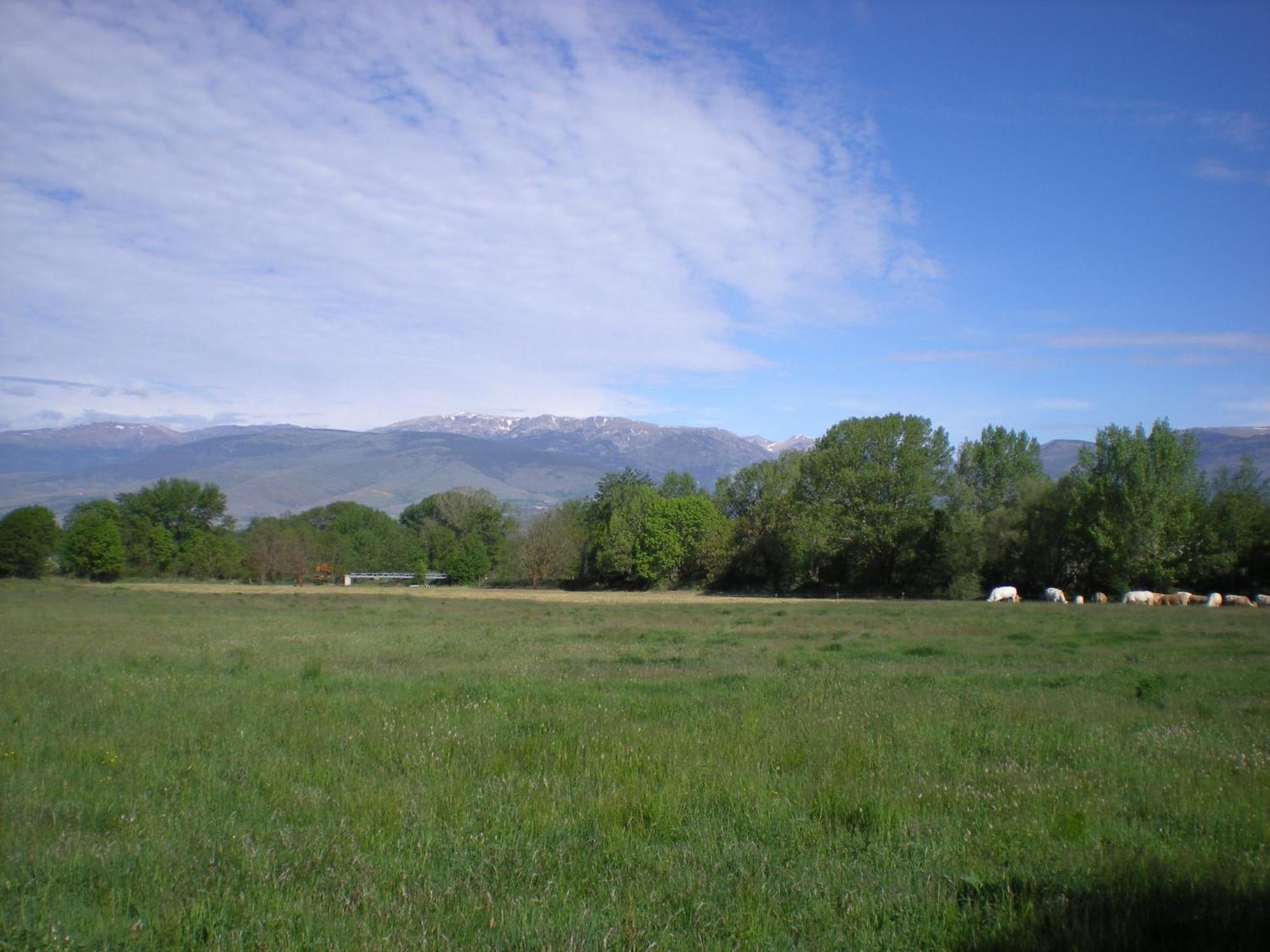 Camping Las Asperas*** Palau-de-Cerdagne Buitenkant foto